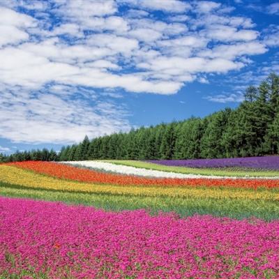 幻想版赵云传内购破解版下载