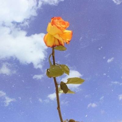 91翻天纵横征途游戏下载